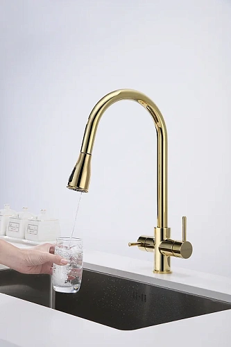 Смеситель для кухни Paulmark Lange золото La214212-G Смеситель для кухни Paulmark Lange золото La214212-G