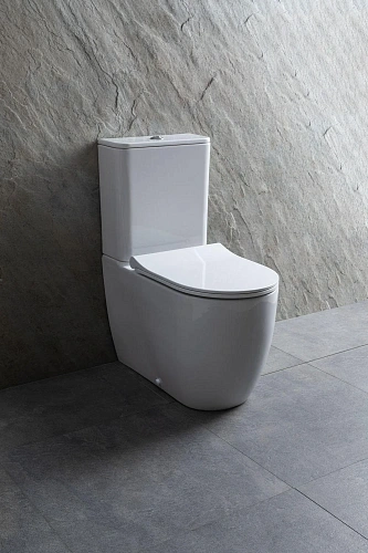 Чаша напольного унитаза Allen Brau Priority 4.31003.20 с крышкой, белый Чаша напольного унитаза Allen Brau Priority 4.31003.20 с крышкой, белый