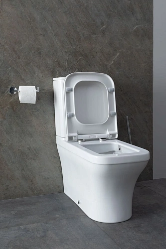 Чаша напольного унитаза Allen Brau Infinity 4.21012.20 с крышкой, белый глянец Чаша напольного унитаза Allen Brau Infinity 4.21012.20 с крышкой, белый глянец