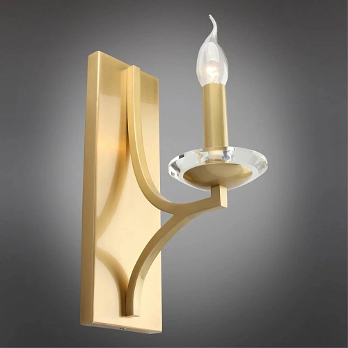 Светильник настенный (Бра) Aployt Wikta APL.805.01.01 Светильник настенный (Бра) Aployt Wikta APL.805.01.01