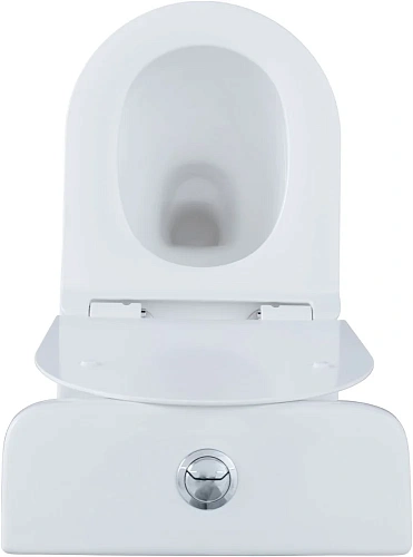 Чаша напольного унитаза Aquanet Rimless Roll 2-C CL-12289 с сиденьем Чаша напольного унитаза Aquanet Rimless Roll 2-C CL-12289 с сиденьем