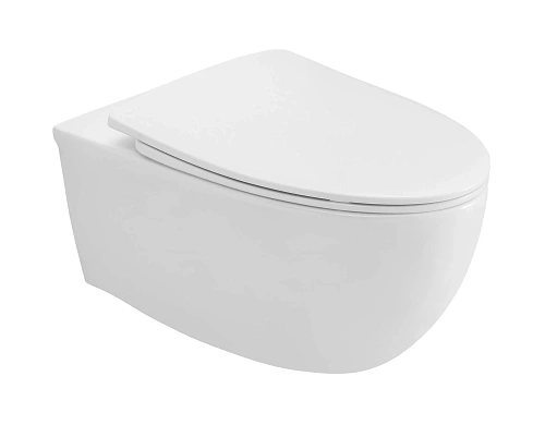 Унитаз подвесной ARROW AHB2162H без сиденья, безободковый, белый Унитаз подвесной ARROW AHB2162H без сиденья, безободковый, белый