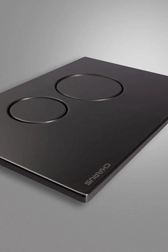 Клавиша смыва CHARUS ROBUSTO FP.330.GNM.05 оружейная сталь Клавиша смыва CHARUS ROBUSTO FP.330.GNM.05 оружейная сталь