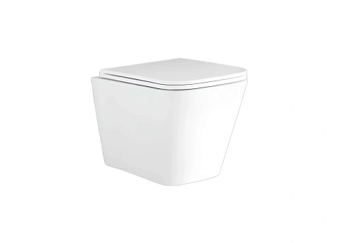 Унитаз подвесной Aquatek ДЕЛЬТА 480 x 350 x 320 мм, тонкое сиденье с механизмом плавного закрывания Унитаз подвесной Aquatek ДЕЛЬТА 480 x 350 x 320 мм, тонкое сиденье с механизмом плавного закрывания