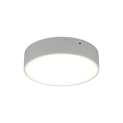 Светильник настенно-потолочный Aployt Evon APL.0114.09.18 Светильник настенно-потолочный Aployt Evon APL.0114.09.18