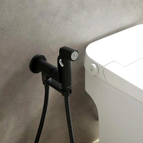 Гигиенический душ Aquatek АЛЬФА AQ1919MB матовый черный Гигиенический душ Aquatek АЛЬФА AQ1919MB матовый черный