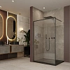 Душевая перегородка Ambassador Walk-in 15031216 (1200x2000) Душевая перегородка Ambassador Walk-in 15031216 (1200x2000)