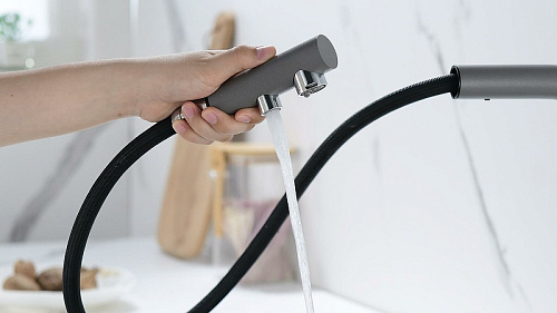 Смеситель для кухни Paulmark SERPENTINE серый металлик Se213222-GRM Смеситель для кухни Paulmark SERPENTINE серый металлик Se213222-GRM