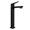 Смеситель для раковины Paini Bari RTYO205LL высокий, черный Смеситель для раковины Paini Bari RTYO205LL высокий, черный