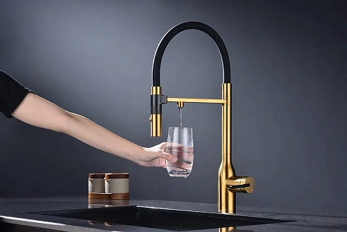 Смеситель для кухни Paulmark Magneto One брашированное золото Ma213188-BG Смеситель для кухни Paulmark Magneto One брашированное золото Ma213188-BG