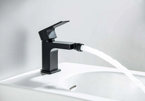 Смеситель для биде Aquatek ЛИРА AQ1418MB Черный матовый Смеситель для биде Aquatek ЛИРА AQ1418MB Черный матовый