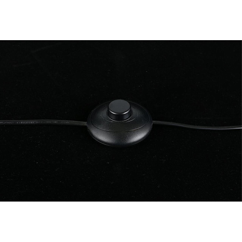 Торшер Aployt Iwona APL.742.05.01 Торшер Aployt Iwona APL.742.05.01