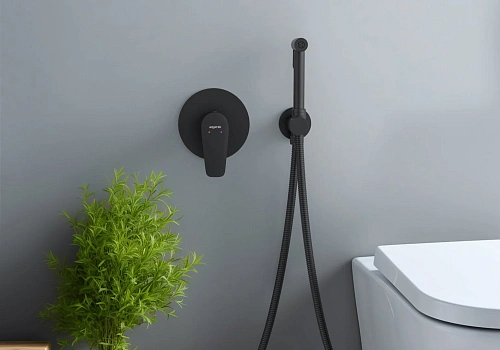 Гигиенический душ Aquatek БЕТТА AQ1119MB Черный матовый, встраиваемый Гигиенический душ Aquatek БЕТТА AQ1119MB Черный матовый, встраиваемый