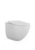 Унитаз подвесной Ceramalux TORNADO TR2196ZK с крышкой микролифт, белый
