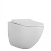 Унитаз подвесной Ceramalux TORNADO TR2196ZK с крышкой микролифт, белый Унитаз подвесной Ceramalux TORNADO TR2196ZK с крышкой микролифт, белый