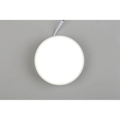 Светильник настенно-потолочный Aployt Evon APL.0114.09.12 Светильник настенно-потолочный Aployt Evon APL.0114.09.12