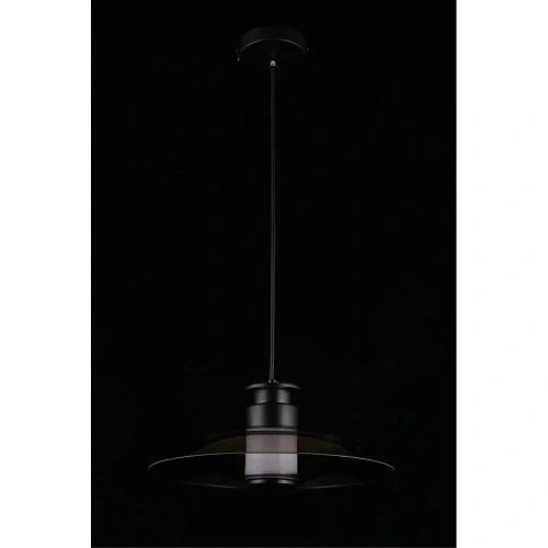 Светильник подвесной Aployt Stefa APL.648.06.10 Светильник подвесной Aployt Stefa APL.648.06.10