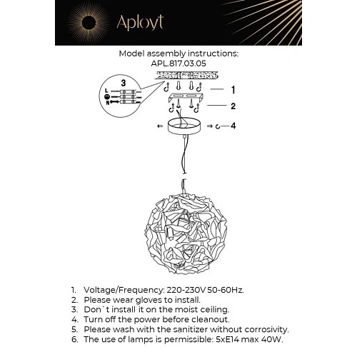 Люстра подвесная Aployt Danka APL.817.03.05 Люстра подвесная Aployt Danka APL.817.03.05