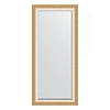Зеркало в багетной раме Evoform Exclusive BY 1211 76 x 166 см, травленое золото Зеркало в багетной раме Evoform Exclusive BY 1211 76 x 166 см, травленое золото