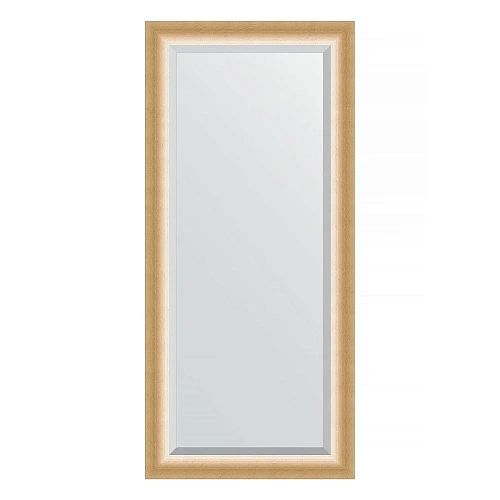 Зеркало в багетной раме Evoform Exclusive BY 1211 76 x 166 см, травленое золото Зеркало в багетной раме Evoform Exclusive BY 1211 76 x 166 см, травленое золото