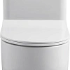 Чаша напольного унитаза Allen Brau Priority 4.31003.20 с крышкой, белый Чаша напольного унитаза Allen Brau Priority 4.31003.20 с крышкой, белый