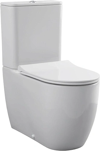 Чаша напольного унитаза Allen Brau Priority 4.31003.20 с крышкой, белый Чаша напольного унитаза Allen Brau Priority 4.31003.20 с крышкой, белый