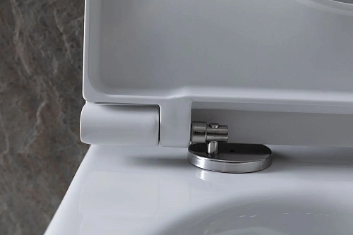 Комплект унитаза Allen Brau Reality 4.32006.20/8.9466.0.000.000.1 (00316510) с инсталляцией, белый глянец Комплект унитаза Allen Brau Reality 4.32006.20/8.9466.0.000.000.1 (00316510) с инсталляцией, белый глянец