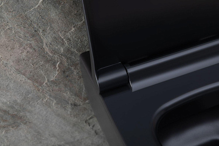 Унитаз подвесной Allen Brau Priority 4.31001.31 с крышкой, черный матовый