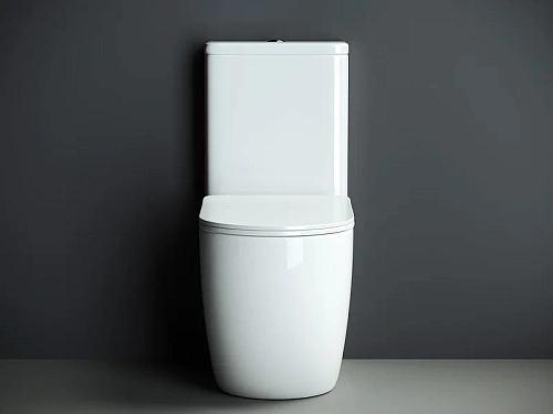 Чаша напольного унитаза Ceramica Nova MIA Rimless CN1801-B белый с сиденьем Чаша напольного унитаза Ceramica Nova MIA Rimless CN1801-B белый с сиденьем