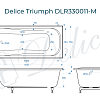 Ванна из искусственного камня Delice Triumph 170х75 DLR330011-M матовая Ванна из искусственного камня Delice Triumph 170х75 DLR330011-M матовая