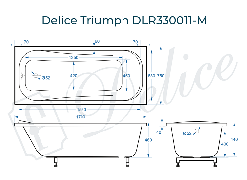 Ванна из искусственного камня Delice Triumph 170х75 DLR330011-M матовая Ванна из искусственного камня Delice Triumph 170х75 DLR330011-M матовая