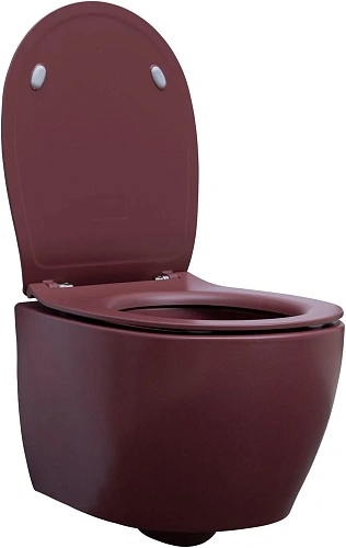 Унитаз подвесной Allen Brau Fantasy 4.11004.BD с крышкой, бордо Унитаз подвесной Allen Brau Fantasy 4.11004.BD с крышкой, бордо