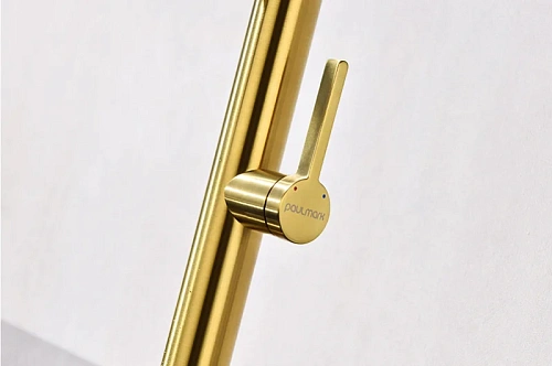 Смеситель для кухни Paulmark Leader брашированное золото Le214101-BG Смеситель для кухни Paulmark Leader брашированное золото Le214101-BG