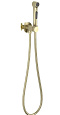 Гигиенический душ Aquatek Европа AQ1020BG золото шлифованное Гигиенический душ Aquatek Европа AQ1020BG золото шлифованное