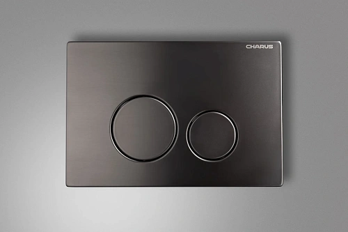 Клавиша смыва CHARUS ROBUSTO FP.330.GNM.05 оружейная сталь Клавиша смыва CHARUS ROBUSTO FP.330.GNM.05 оружейная сталь